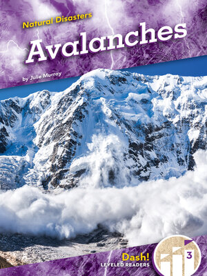 cover image of Avalanches